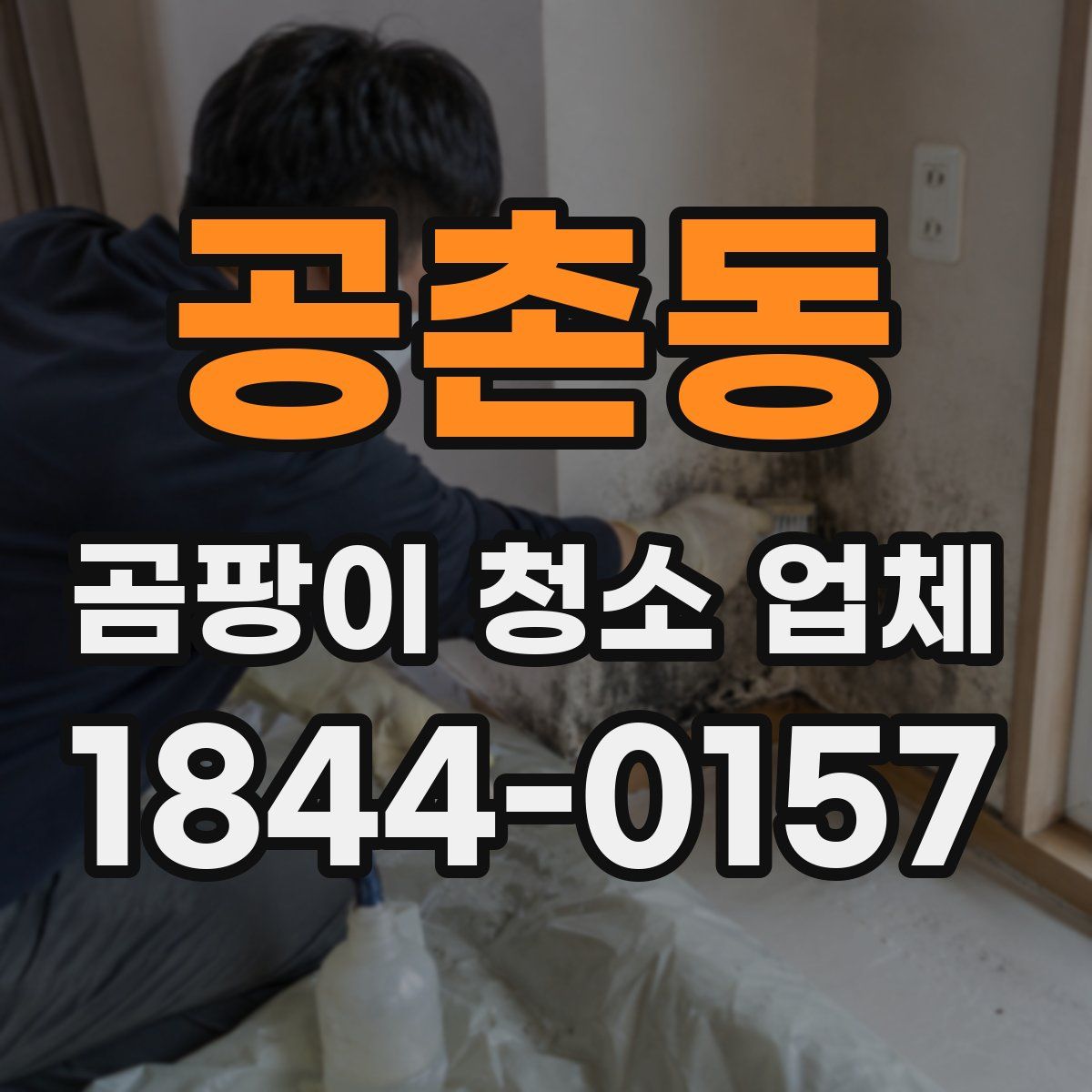 공촌동 곰팡이 청소 업체