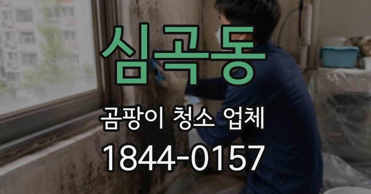 심곡동 곰팡이 청소 업체
