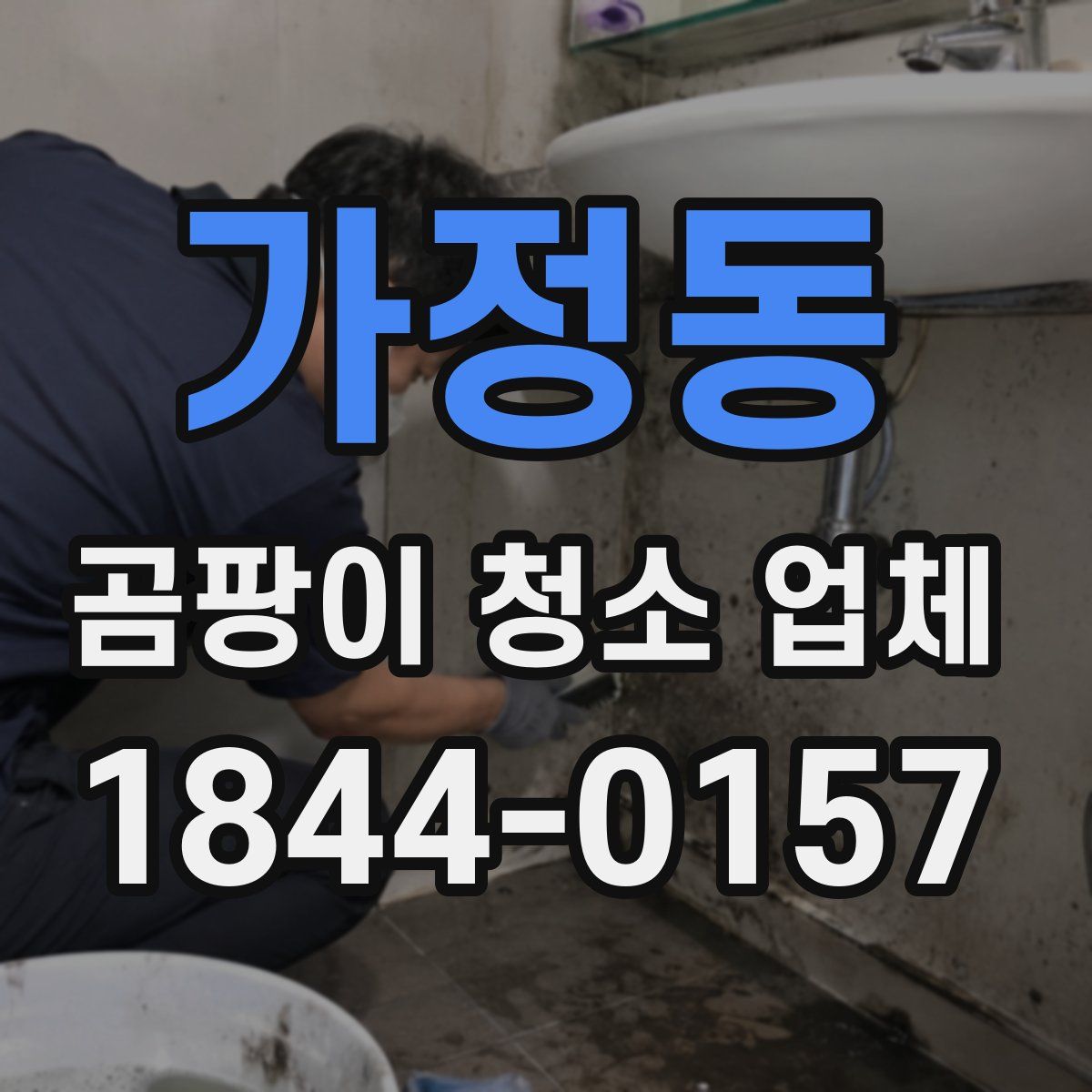 가정동 곰팡이 청소 업체