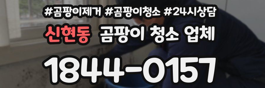 신현동 곰팡이 청소 업체