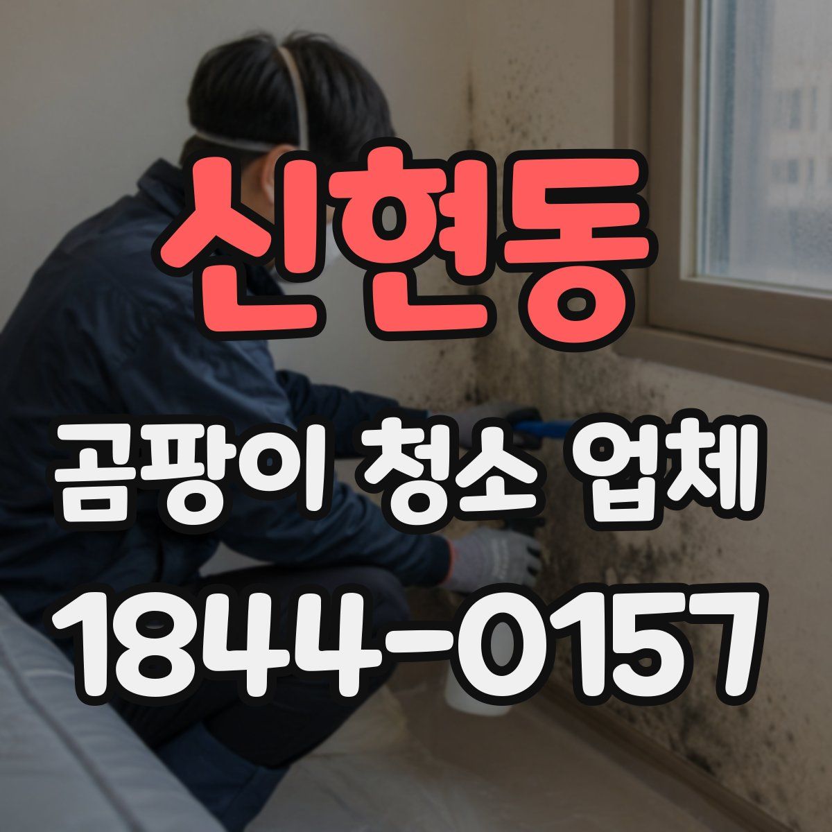 신현동 곰팡이 청소 업체