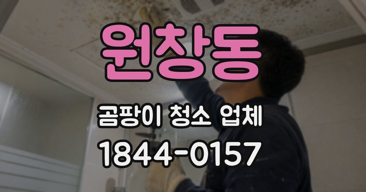 원창동 곰팡이 청소 업체