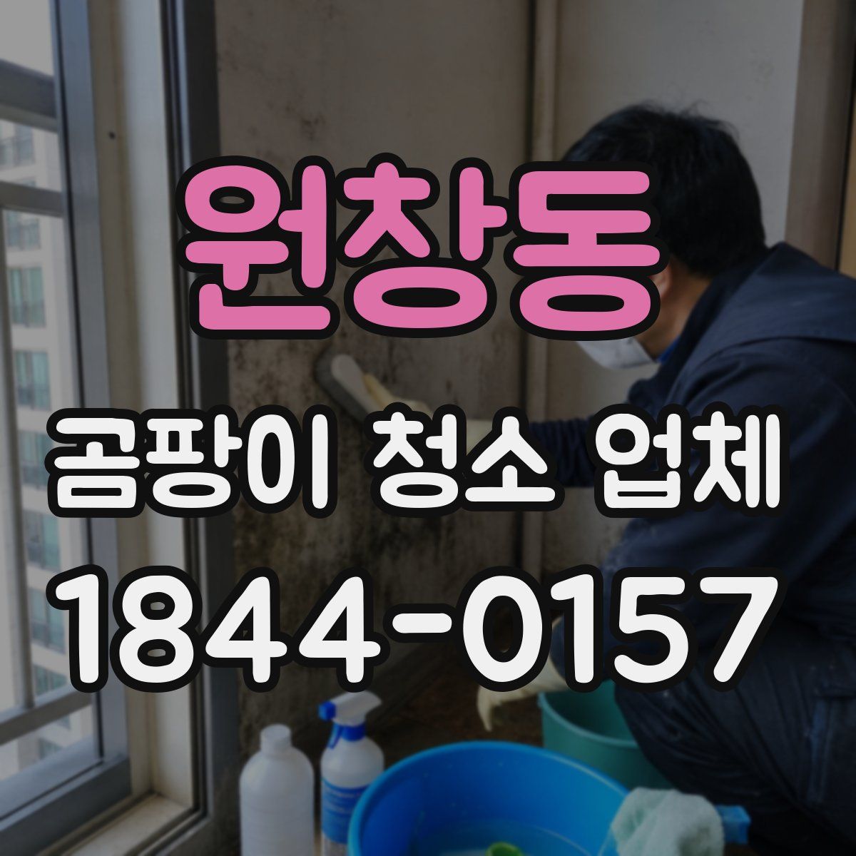 원창동 곰팡이 청소 업체