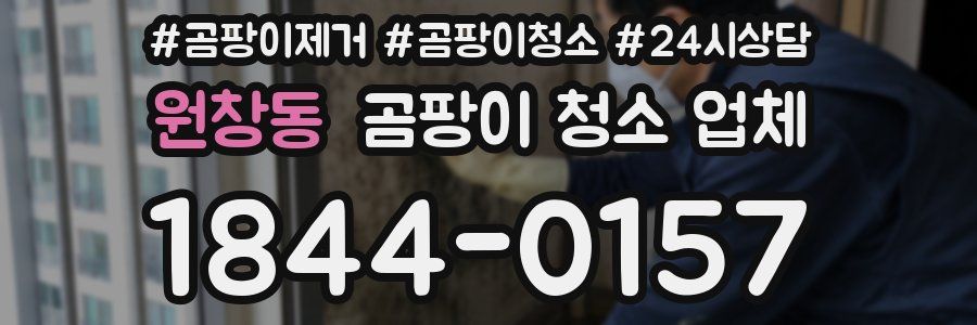 원창동 곰팡이 청소 업체