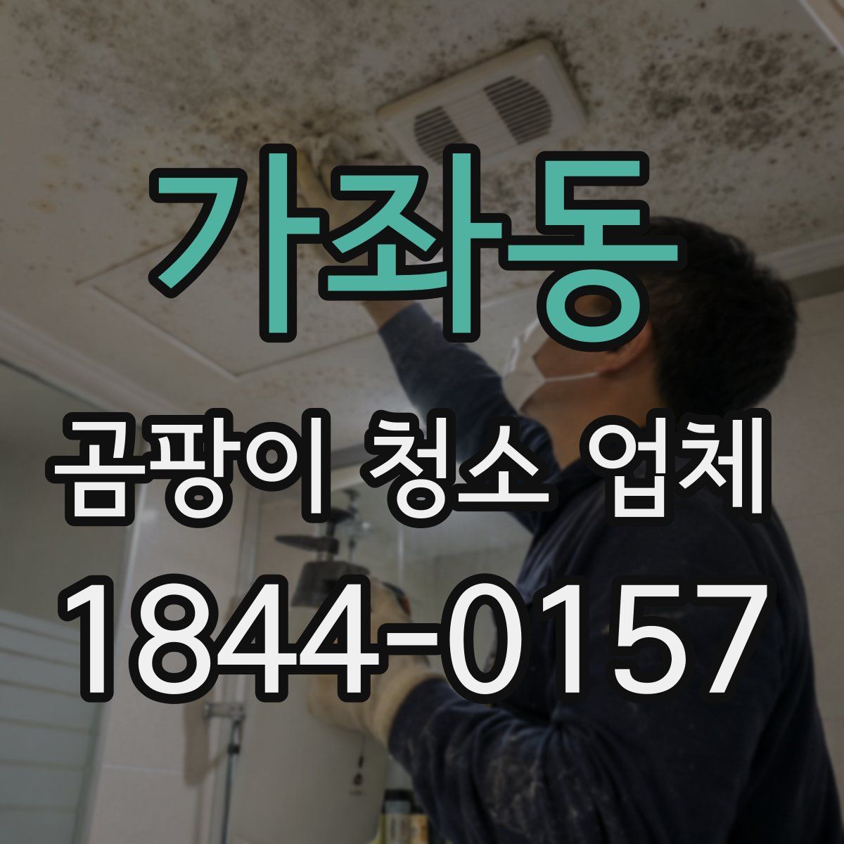 가좌동 곰팡이 청소 업체