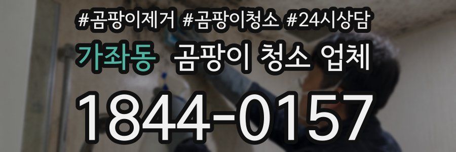 가좌동 곰팡이 청소 업체