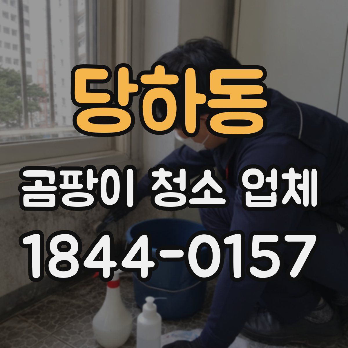 당하동 곰팡이 청소 업체