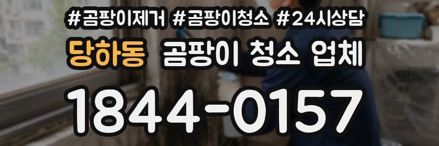 당하동 곰팡이 청소 업체