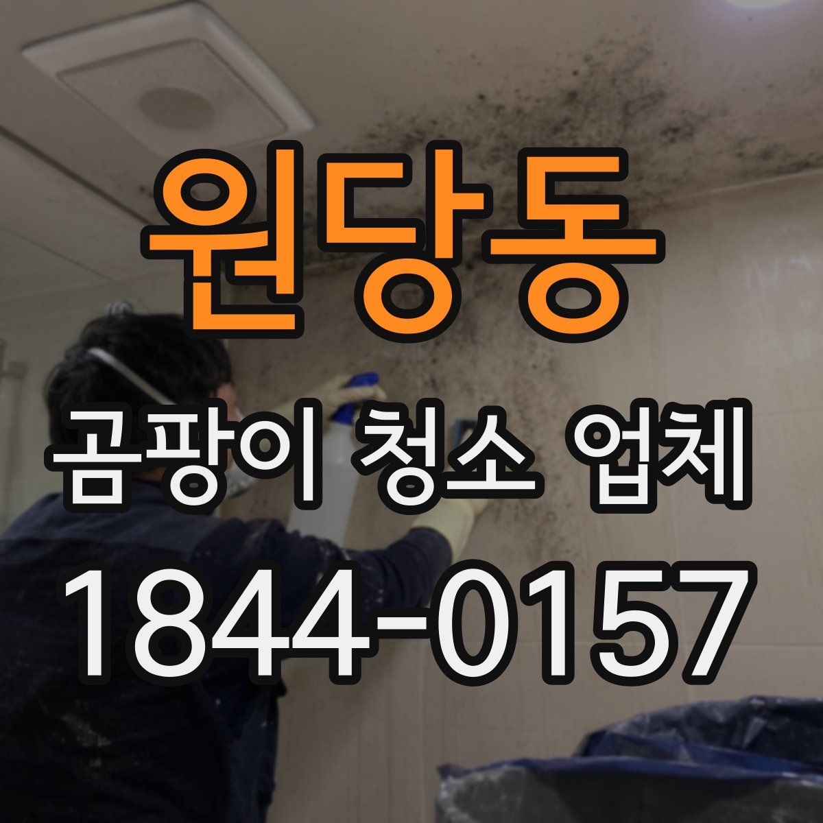 원당동 곰팡이 청소 업체