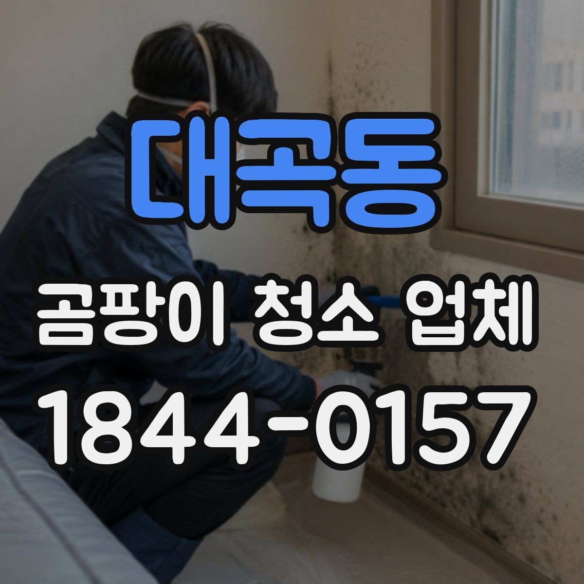 대곡동 곰팡이 청소 업체 방·욕실·주방별 맞춤 방식 정리