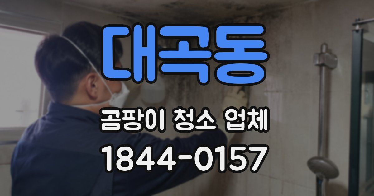 대곡동 곰팡이 청소 업체