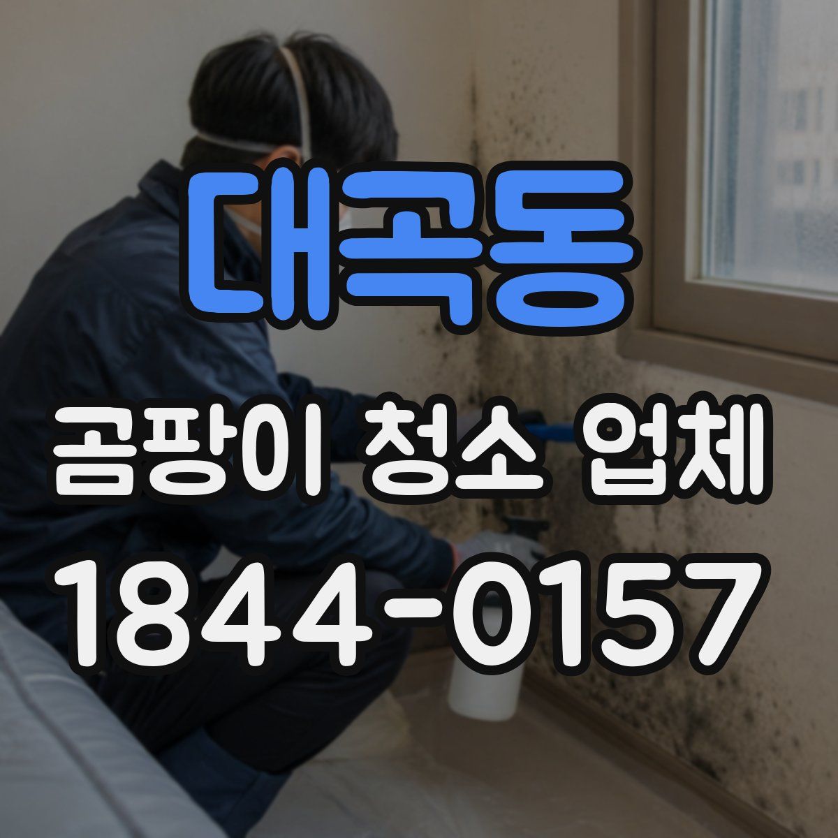 대곡동 곰팡이 청소 업체