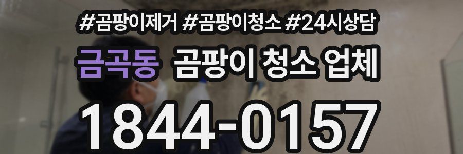 금곡동 곰팡이 청소 업체
