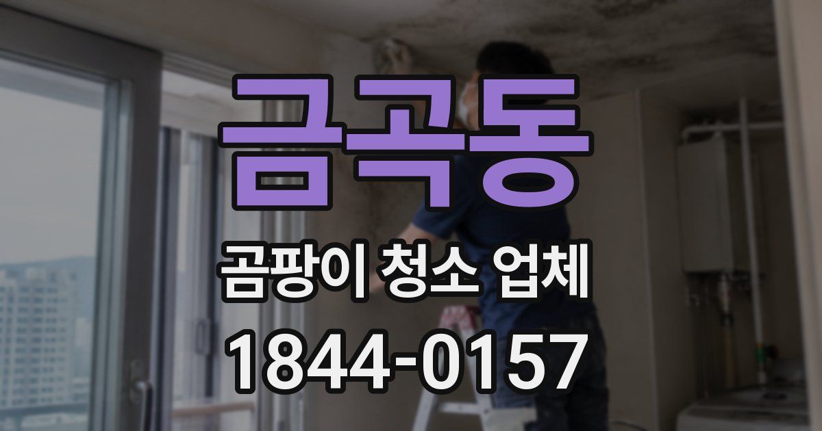 금곡동 곰팡이 청소 업체