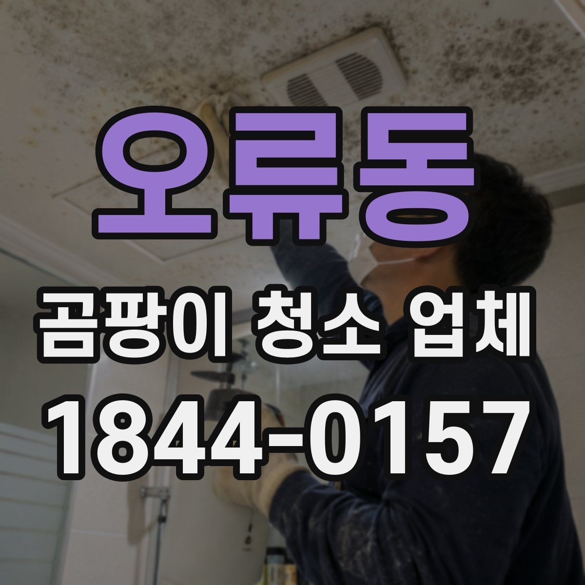 오류동 곰팡이 청소 업체 가구 오염이 넓을 때 손상 최소화 방법