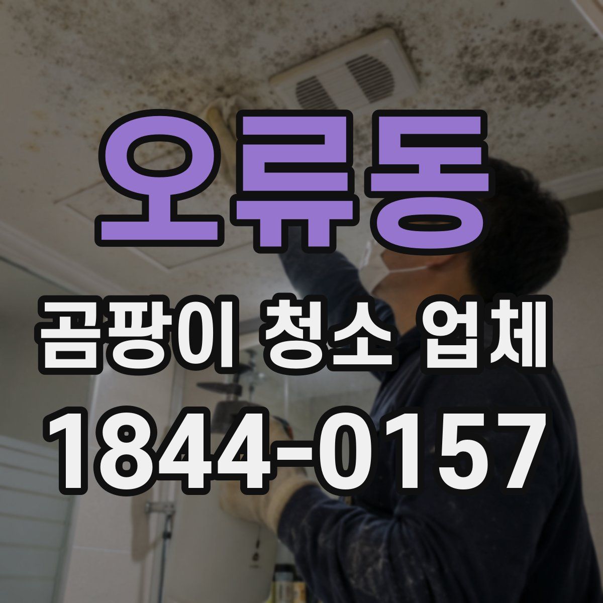 오류동 곰팡이 청소 업체