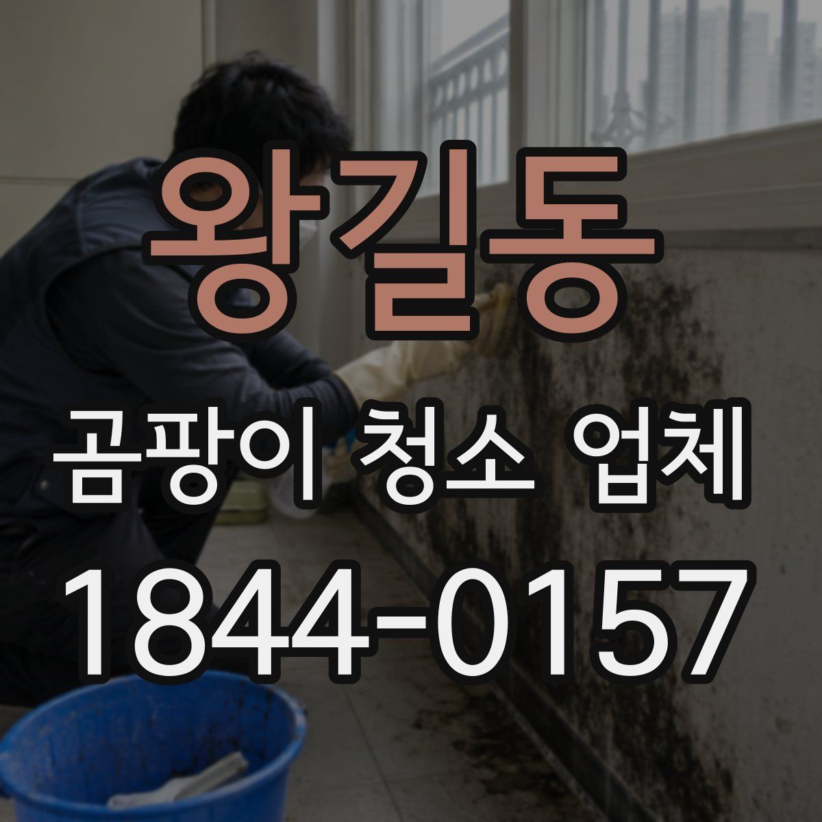 왕길동 곰팡이 청소 업체