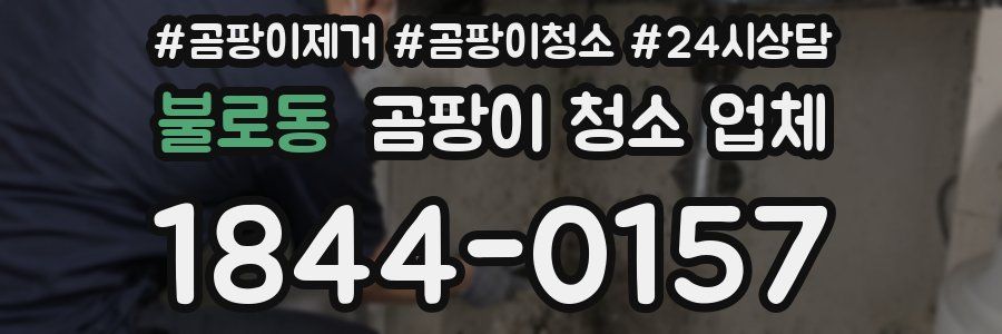 불로동 곰팡이 청소 업체