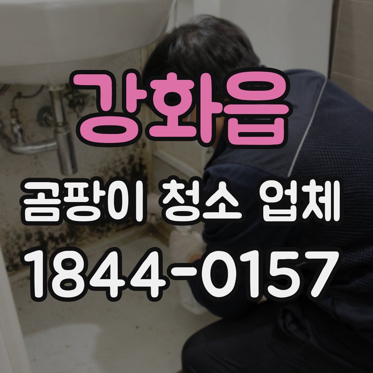 강화읍 곰팡이 청소 업체