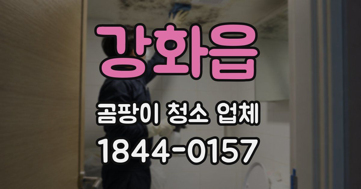 강화읍 곰팡이 청소 업체