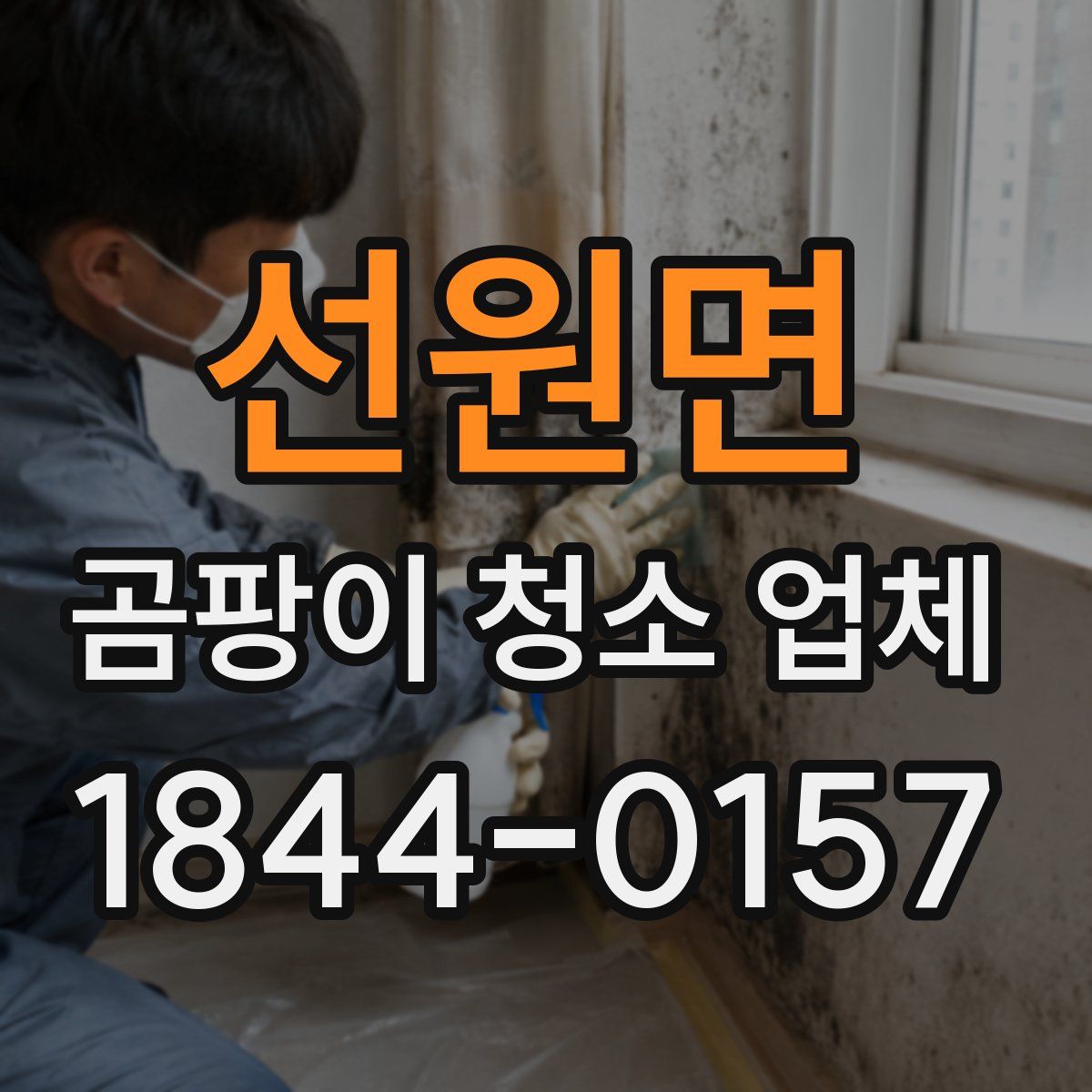 선원면 곰팡이 청소 업체