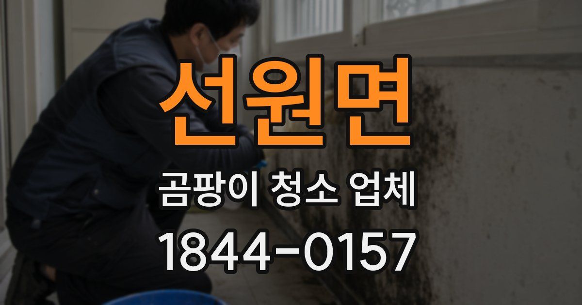선원면 곰팡이 청소 업체