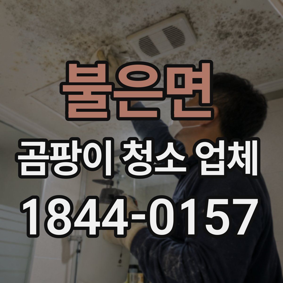 불은면 곰팡이 청소 업체