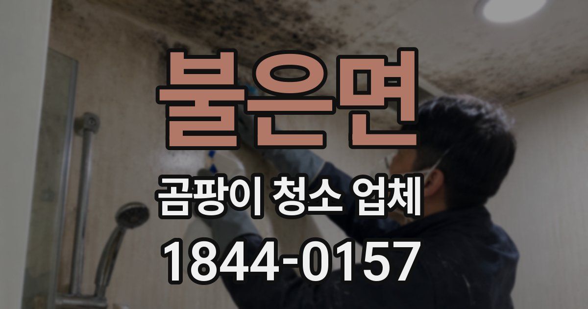 불은면 곰팡이 청소 업체