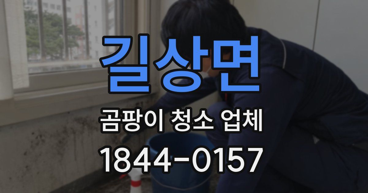 길상면 곰팡이 청소 업체