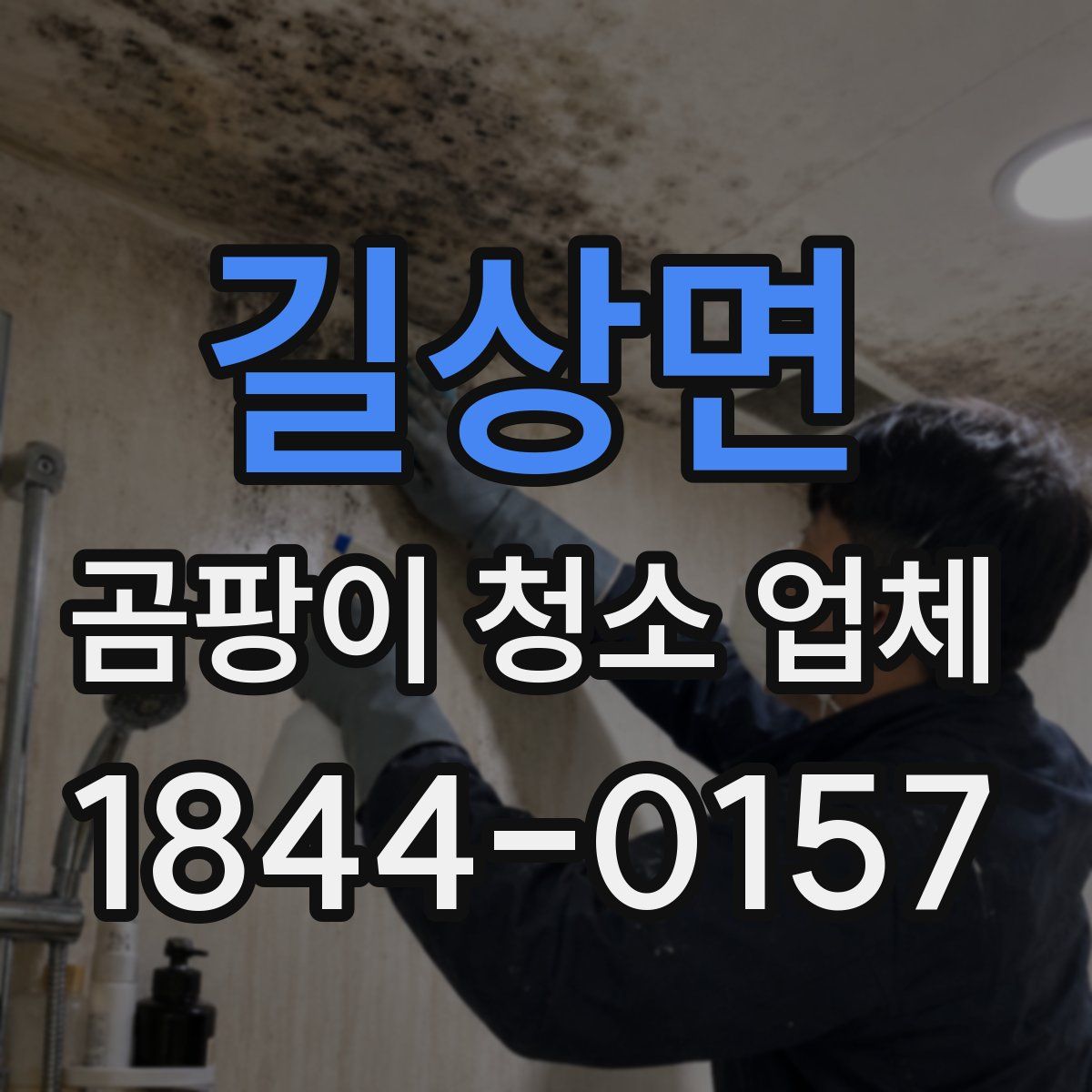 길상면 곰팡이 청소 업체