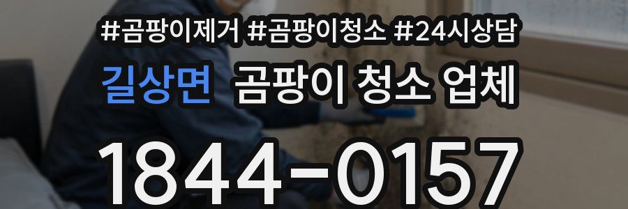 길상면 곰팡이 청소 업체
