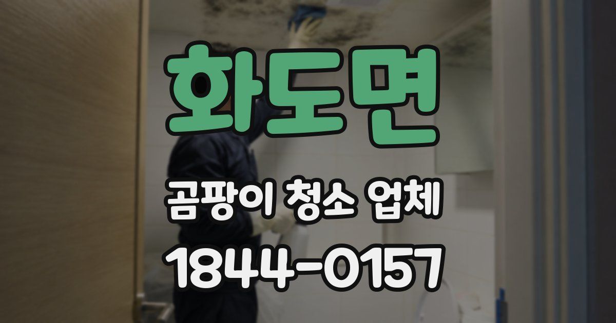 화도면 곰팡이 청소 업체