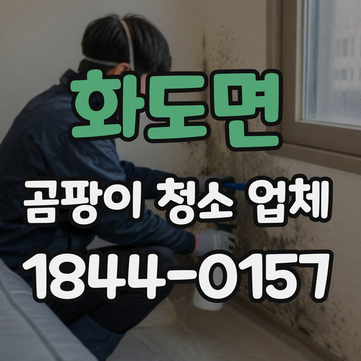 화도면 곰팡이 청소 업체