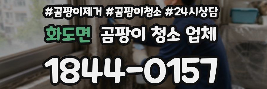 화도면 곰팡이 청소 업체