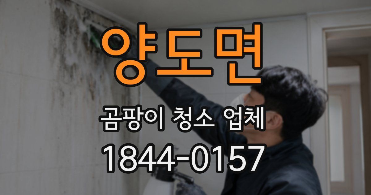 양도면 곰팡이 청소 업체
