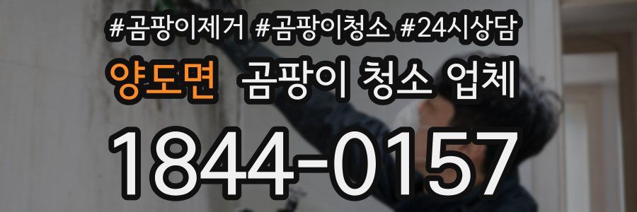 양도면 곰팡이 청소 업체