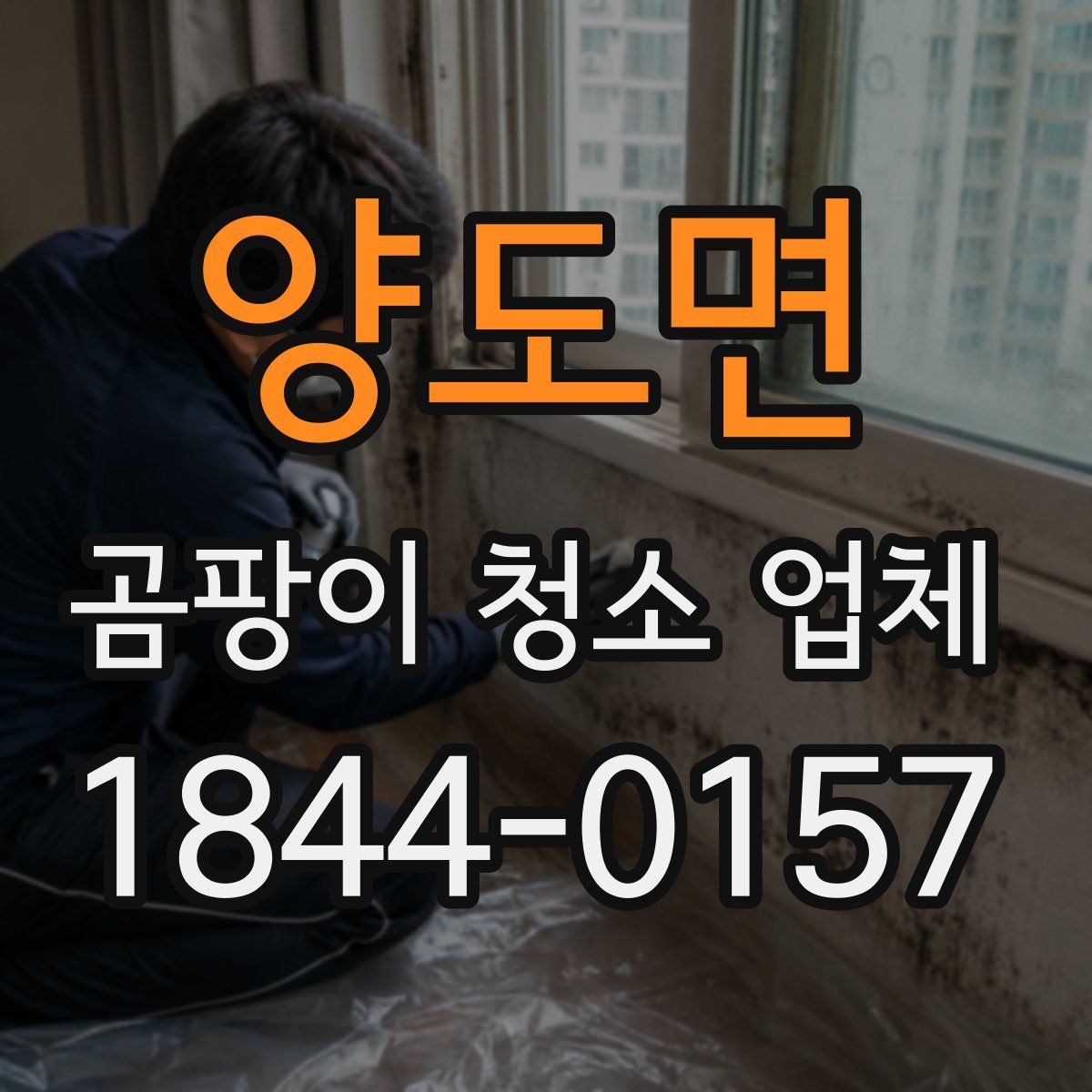 양도면 곰팡이 청소 업체