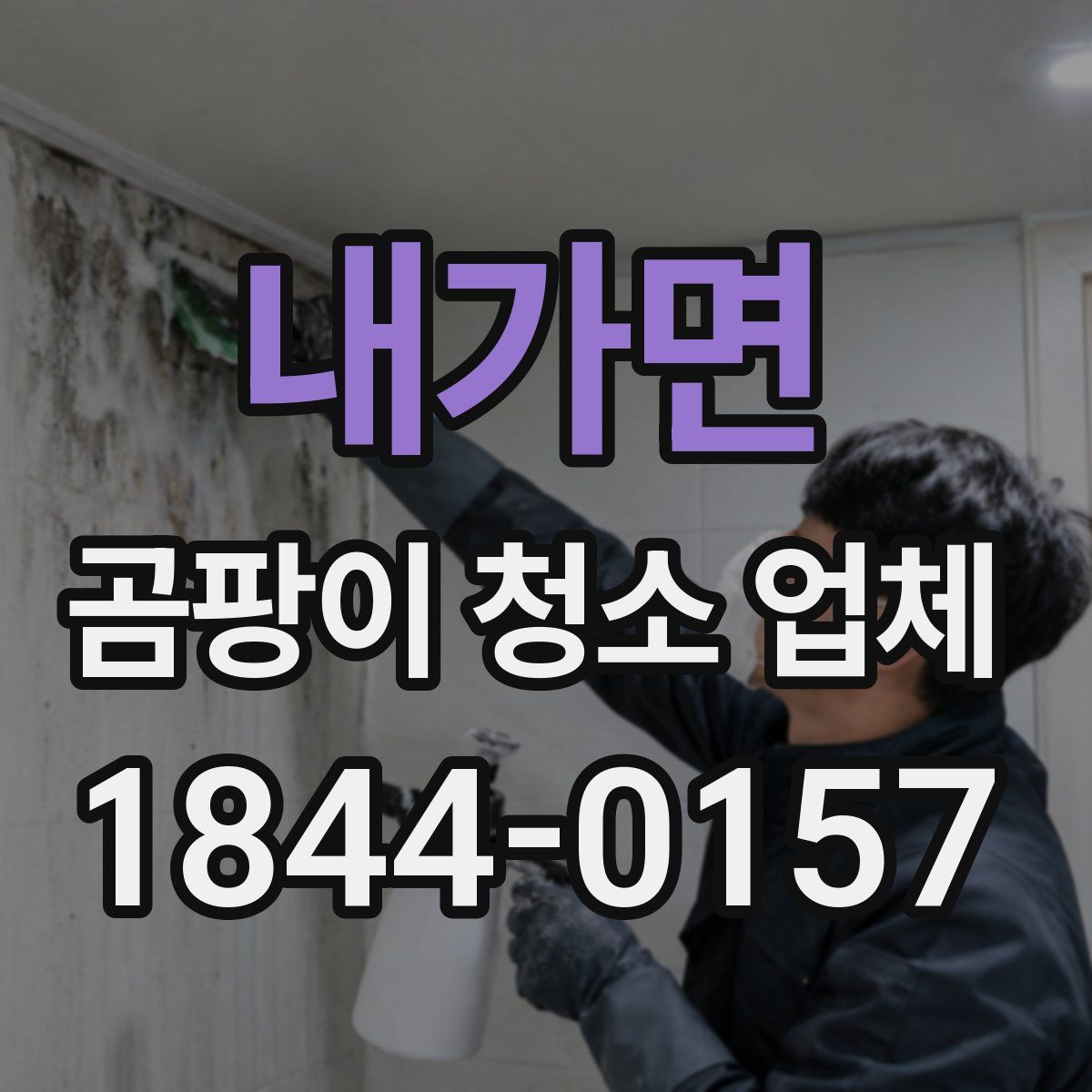 내가면 곰팡이 청소 업체