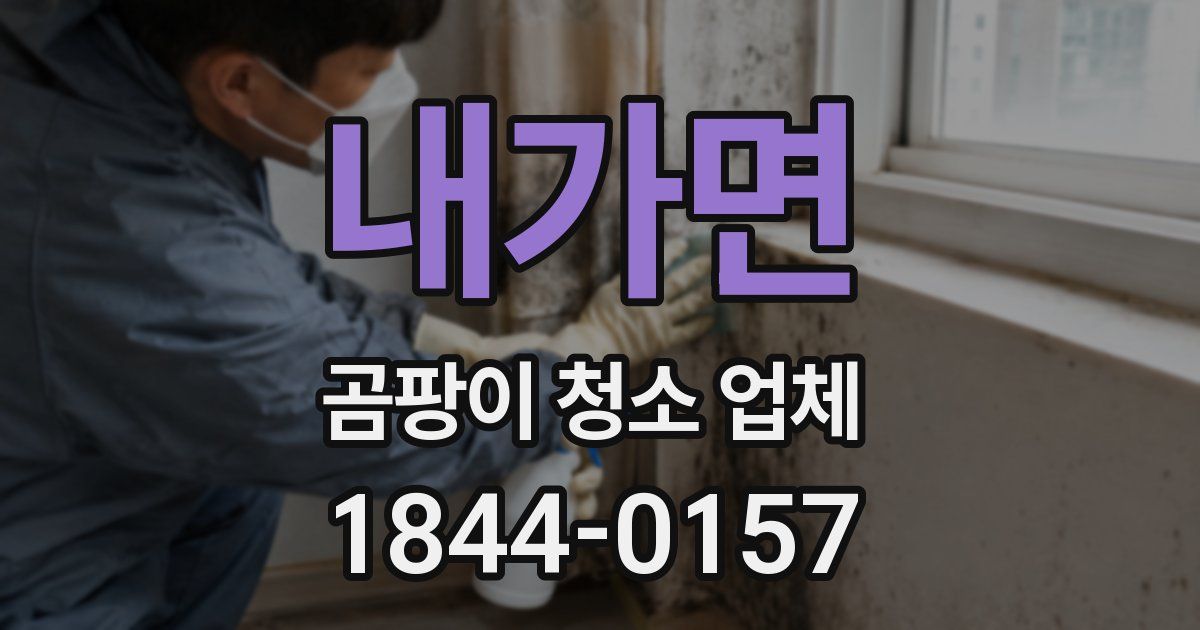 내가면 곰팡이 청소 업체