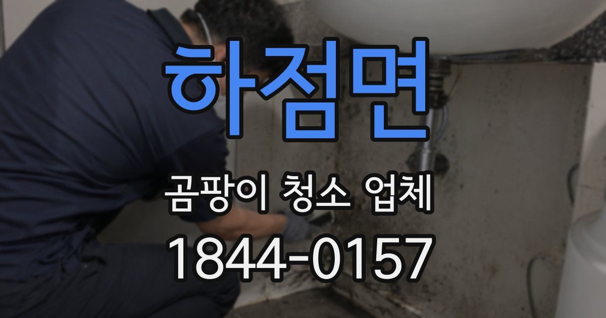 하점면 곰팡이 청소 업체