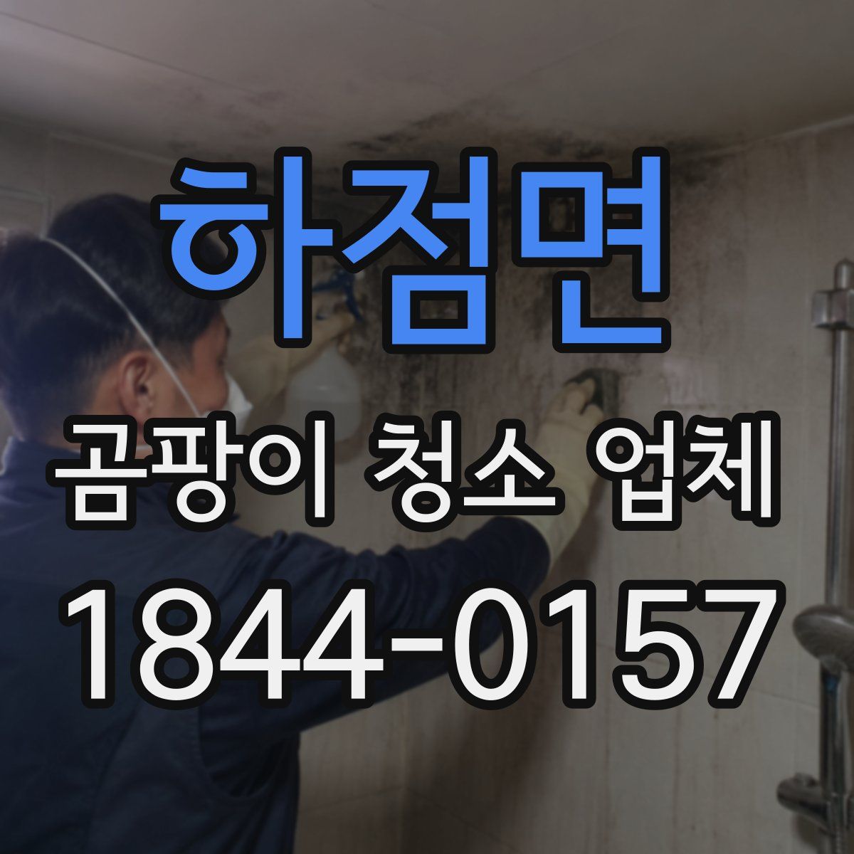 하점면 곰팡이 청소 업체