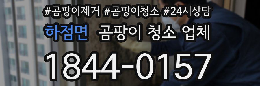 하점면 곰팡이 청소 업체