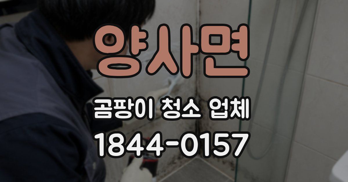 양사면 곰팡이 청소 업체
