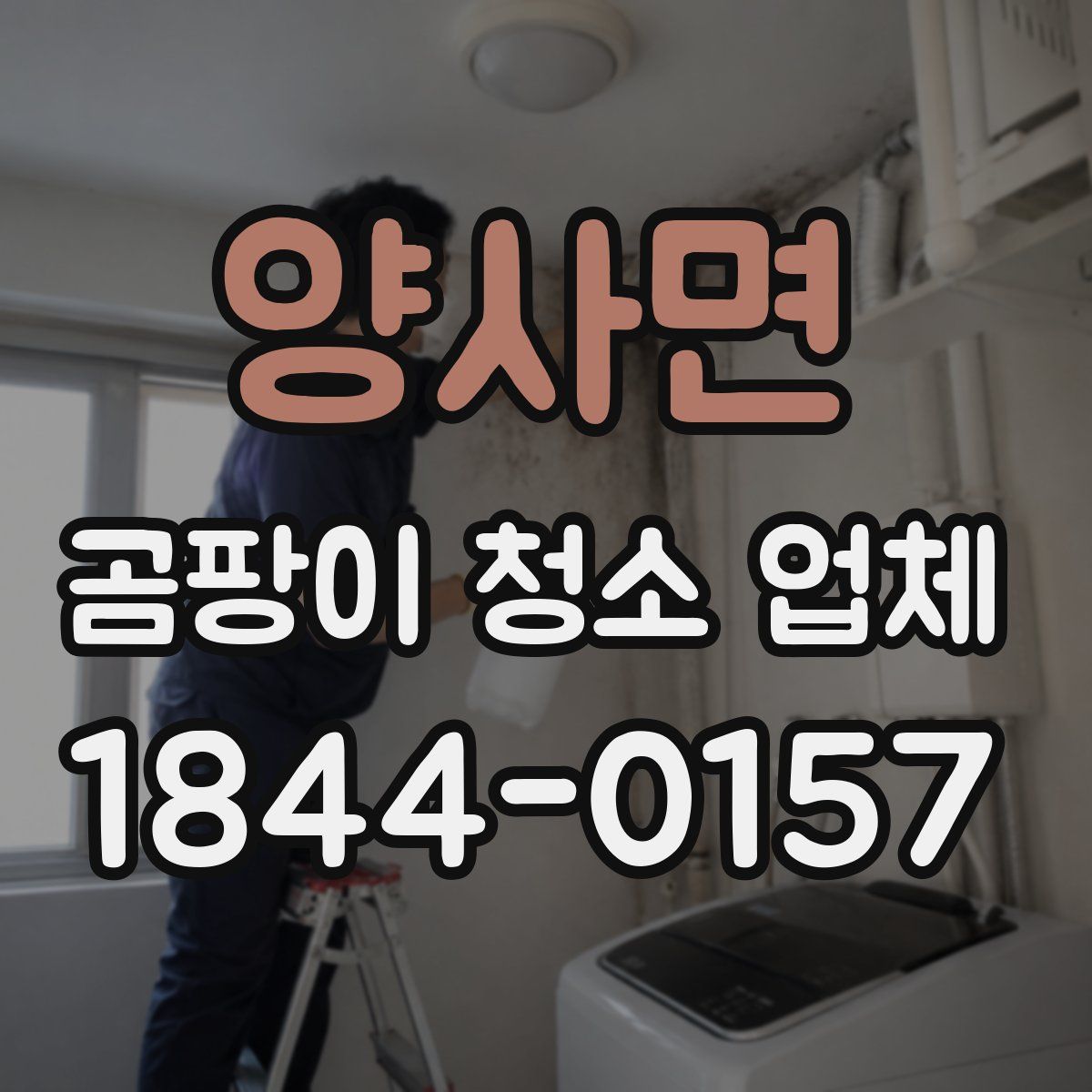 양사면 곰팡이 청소 업체