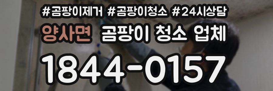 양사면 곰팡이 청소 업체