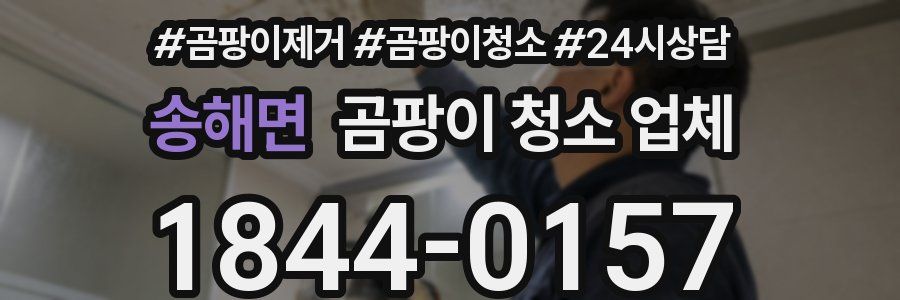 송해면 곰팡이 청소 업체