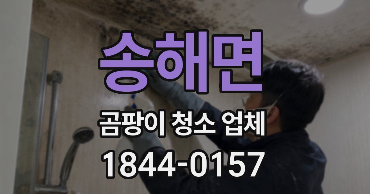 송해면 곰팡이 청소 업체