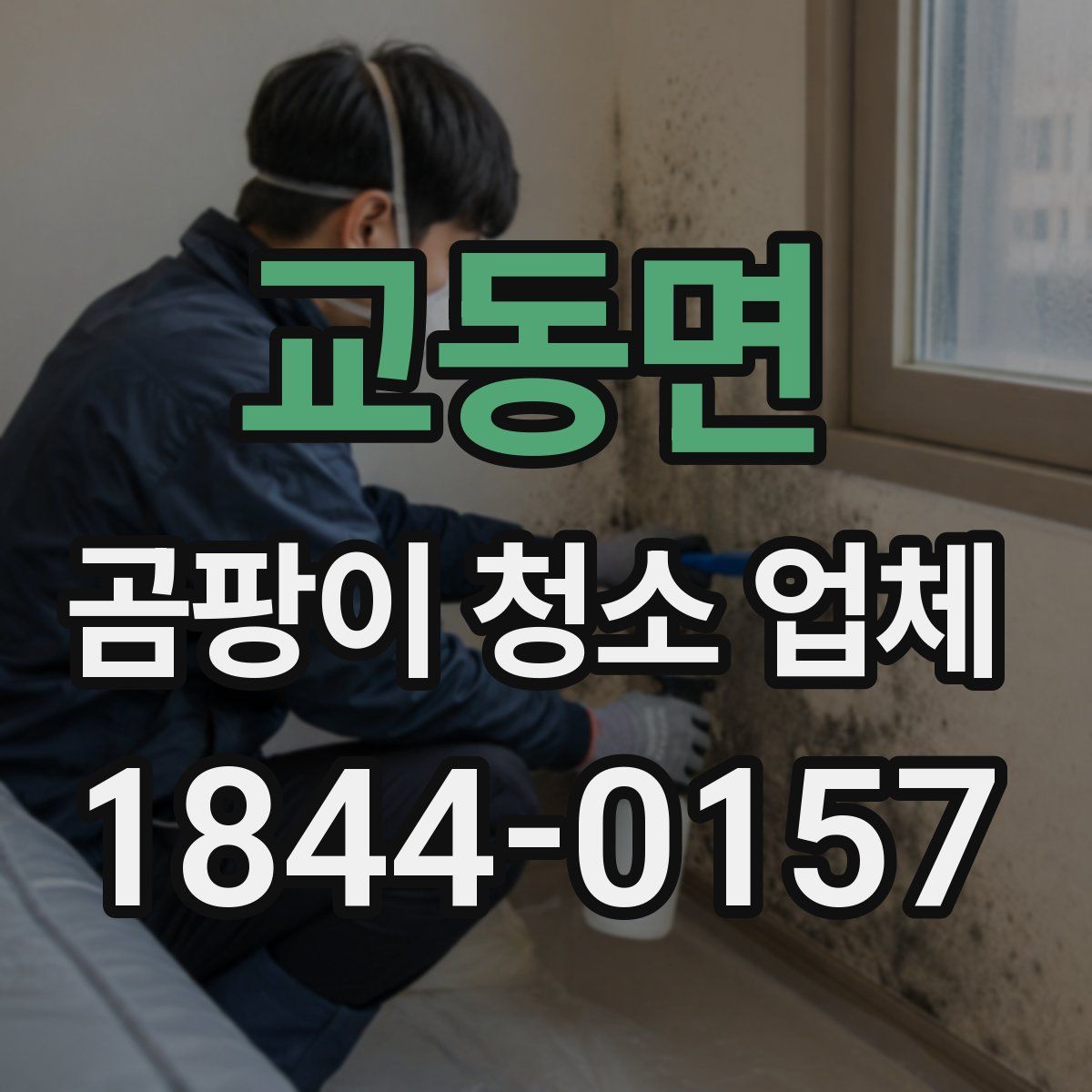교동면 곰팡이 청소 업체
