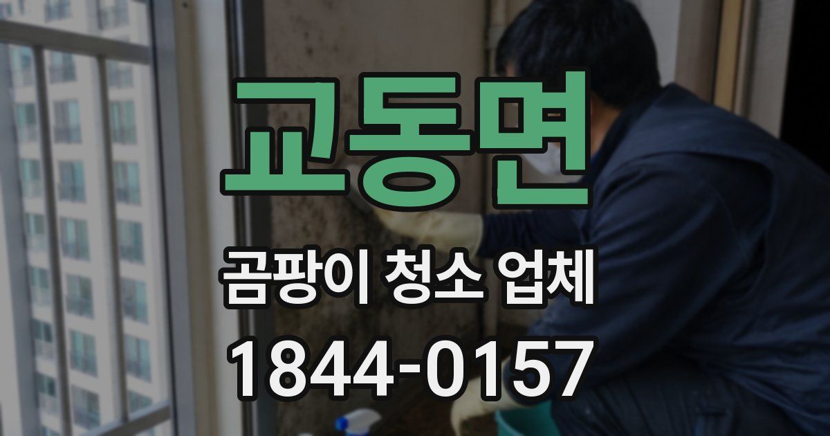 교동면 곰팡이 청소 업체