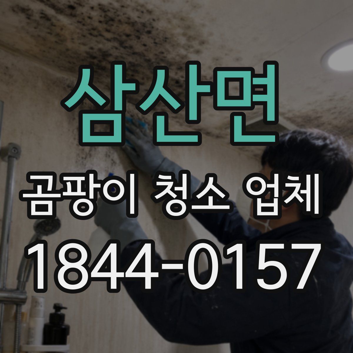 삼산면 곰팡이 청소 업체